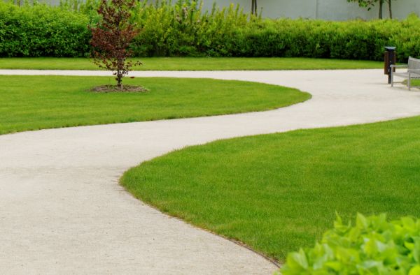 Cost of Walkway Repair in Lakeville