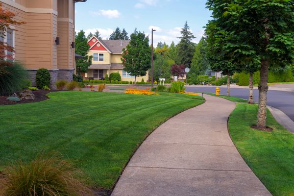 Cost of Sidewalk Patching in Lakeville