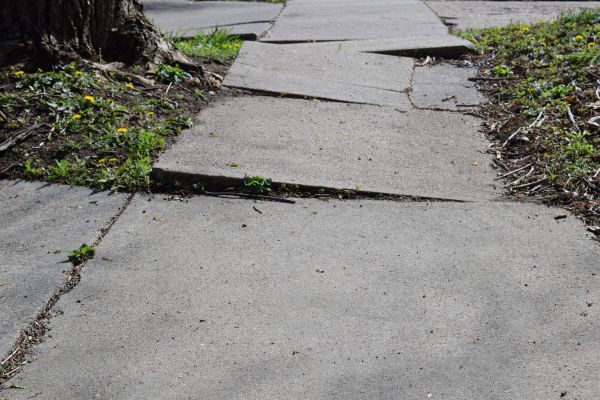 Cost of Trip Hazard Removal in Lakeville