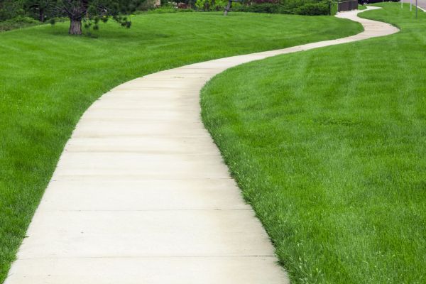 Cost of Cracked Sidewalk Repair in Lakeville